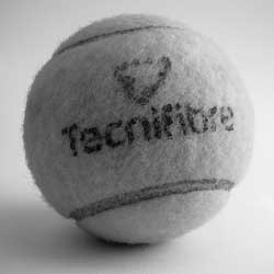 系统优化的信息轰炸网站